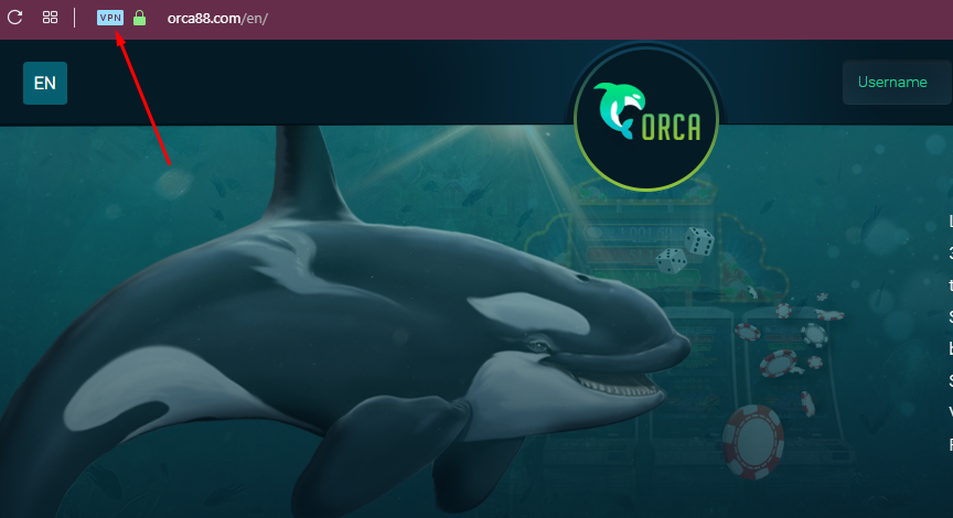 casino orca88 VPN